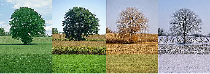 AI NPC驱动游戏！Inworld AI获微软、三星等大厂投资